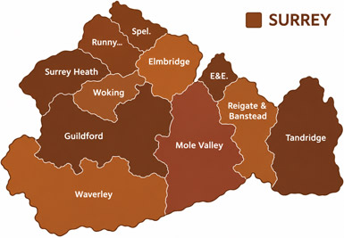 Surrey County Map